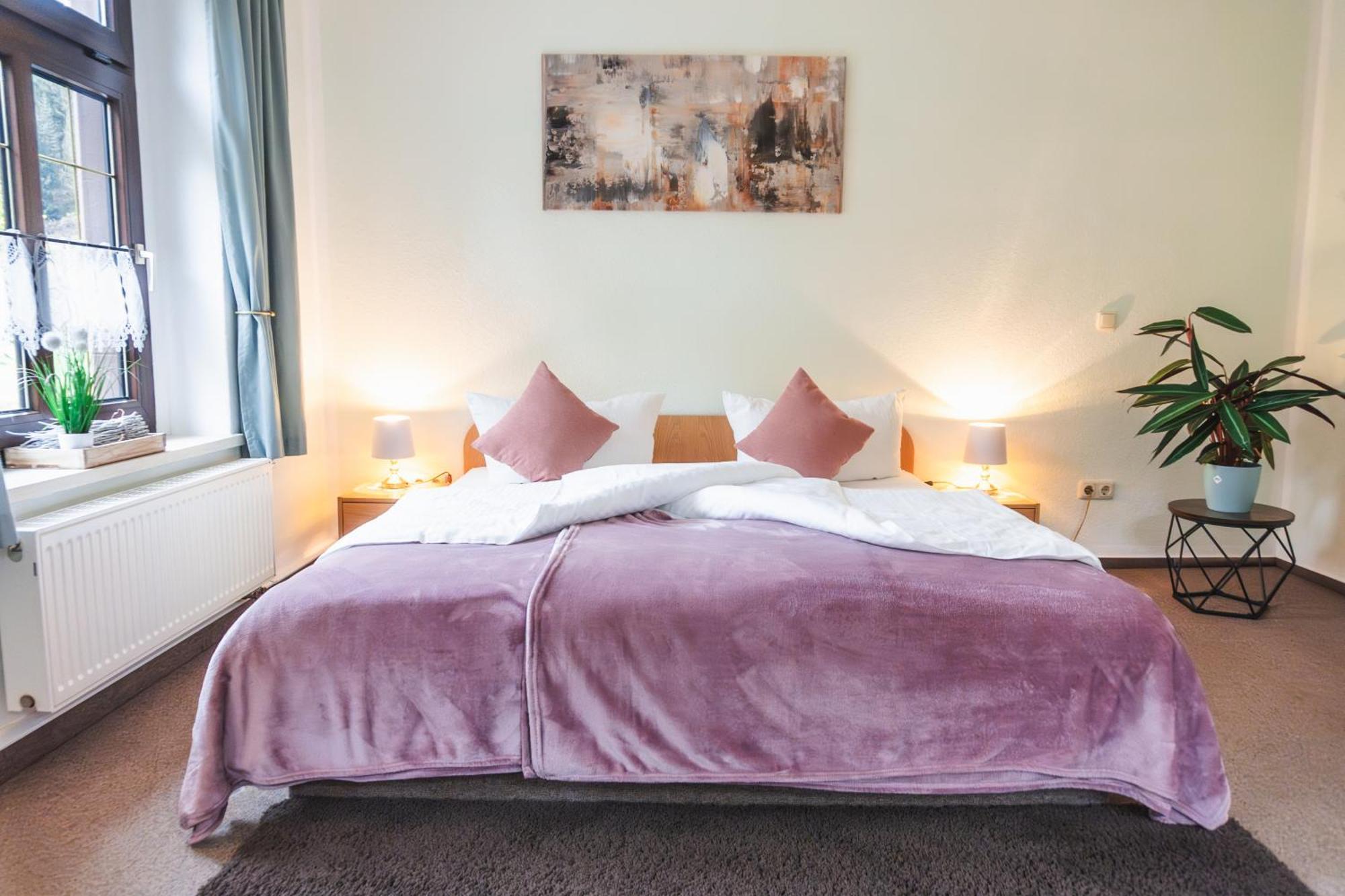 Gasthof Und Pension Hammerschaenke Wildenthal Quarto foto